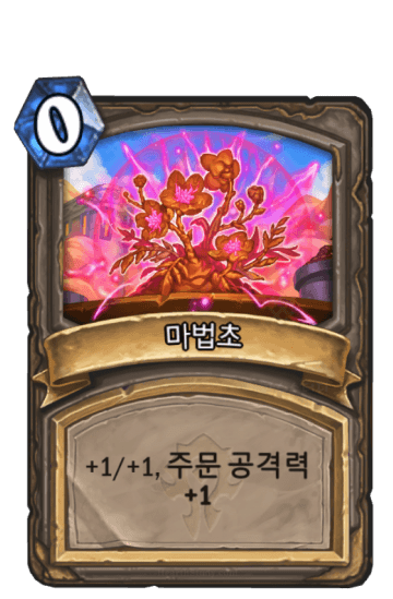 마법초
