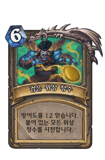 검은 위상 정수