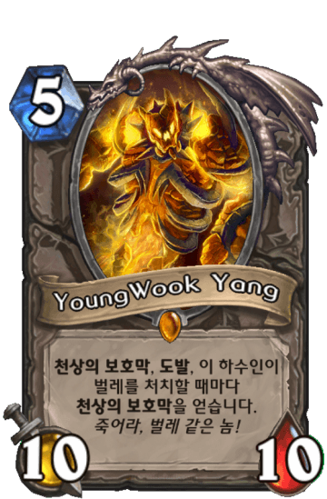 YoungWook Yang