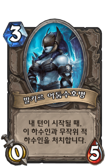 발키르 어둠수호병