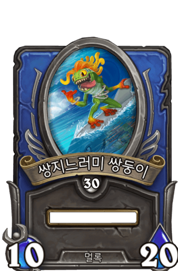 쌍지느러미 쌍둥이