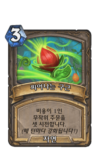 피어나는 구근