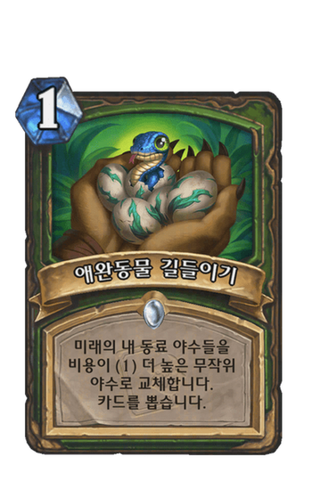 애완동물 길들이기