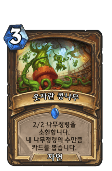 웃자란 콩나무