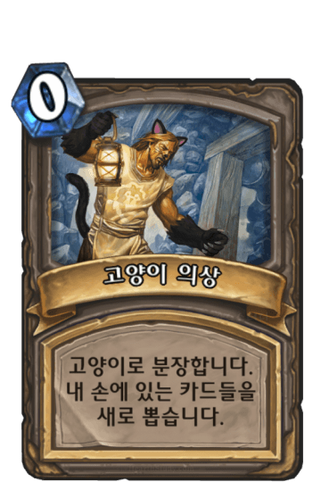 고양이 의상
