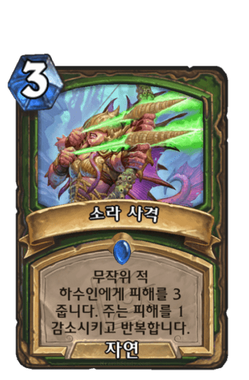 소라 사격
