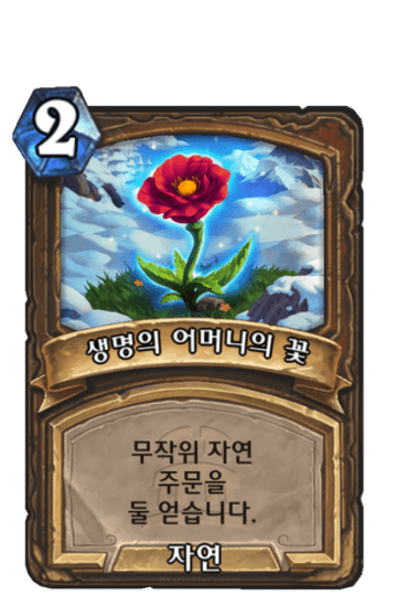 생명의 어머니의 꽃